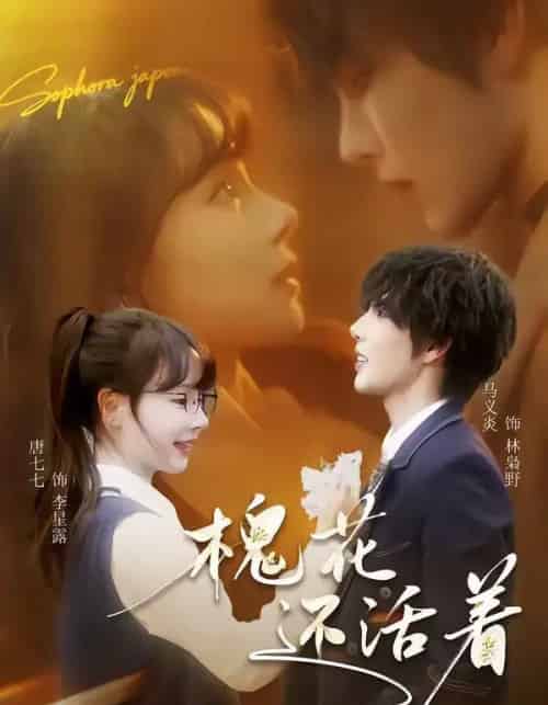 槐花还活着（70集全）马义炎＆唐七七-搜外项目网