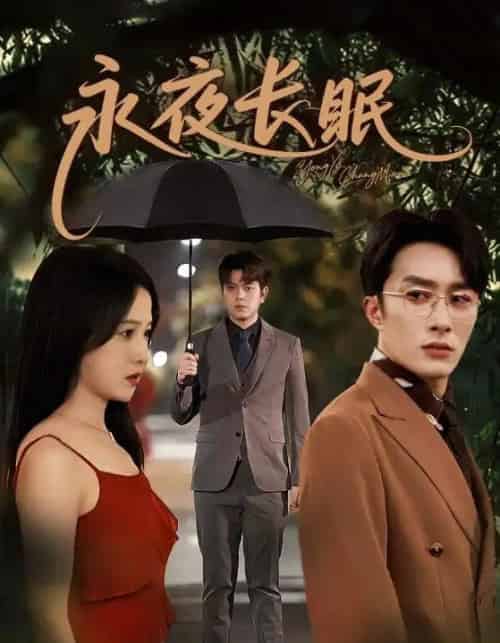 永夜长眠(70集全)叶庭&白野-搜外项目网