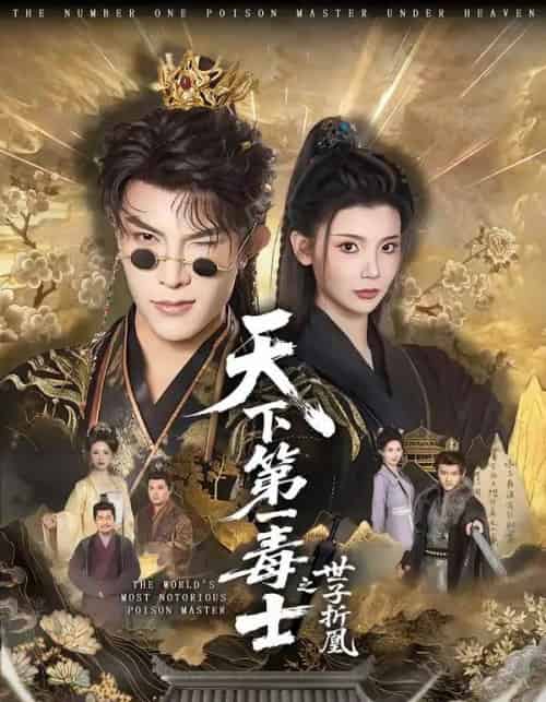 天下第一毒士之世子折凰(82集全)聂子皓&王星辰-搜外项目网