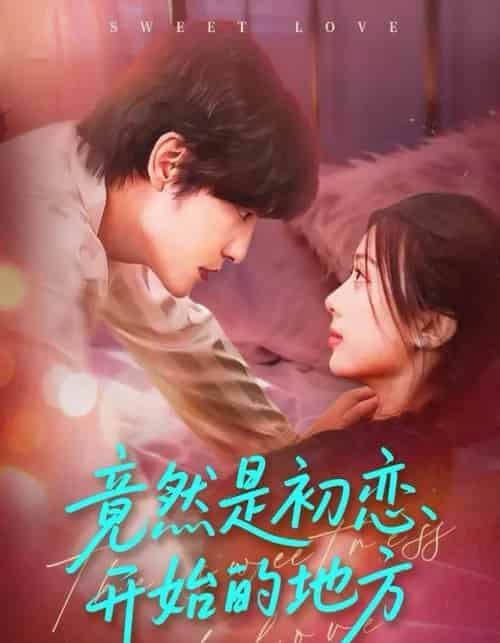 竟然是初恋开始的地方（56集全）史智恩＆李星霖-搜外项目网