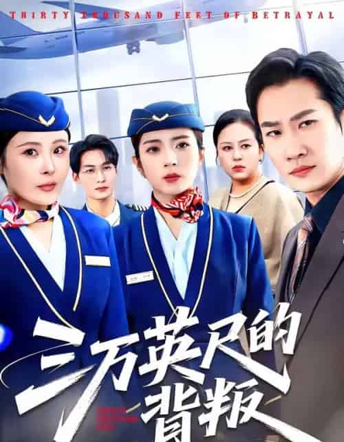 三万英尺的背叛(41集全)雅坤&张绍程&杨乃晴-搜外项目网