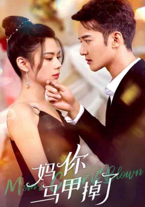 妈，你马甲掉了（88集全）程砚辞＆汀婉-搜外项目网