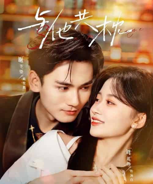 与他共枕（81集全）谢予望＆刘蓝鸽-搜外项目网