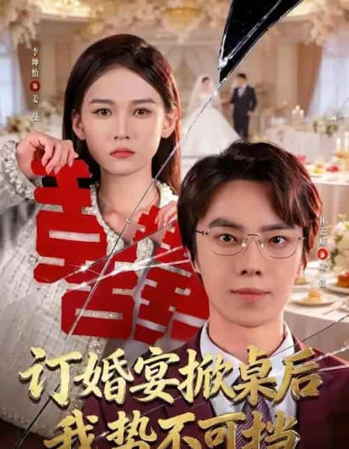 订婚宴掀桌后我势不可挡(73集全)林正峰&李坤怡-搜外项目网
