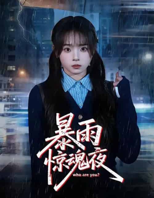 暴雨惊魂夜(49集全)陈舒宜&咸俊旭-搜外项目网