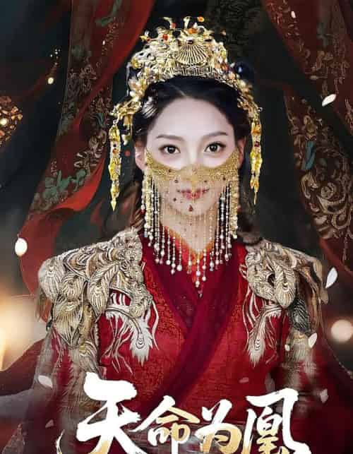 天命为凰(69)徐兰迪&徐江帅-搜外项目网