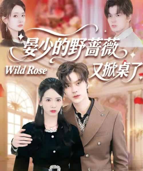 晏少的野蔷薇又掀桌了（120集全）张嘉松＆刘姝妤-搜外项目网