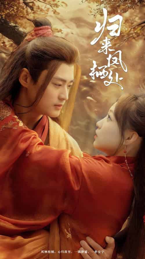 归来凤栖处(60集全)秦远&董子源-搜外项目网