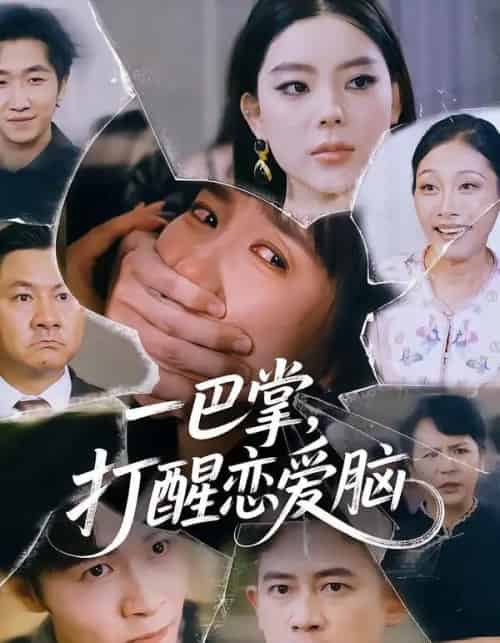 一巴掌，打醒恋爱脑（32集全）王楚＆丛恺凡-搜外项目网