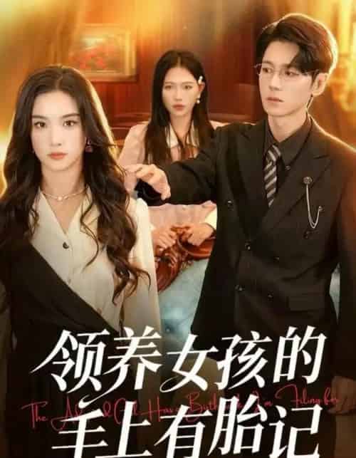 领养女孩的手上有胎记（60集全）王宇婧＆刘君尧-搜外项目网