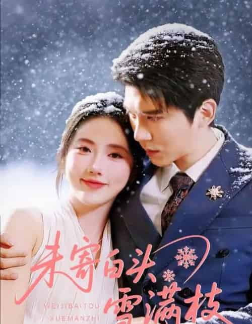未寄白头雪满枝（61集全）金鑫欣＆冯思源-搜外项目网