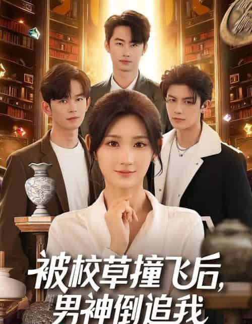 被校草撞飞后男神倒追我(79集全)徐佳伟&马子超&杨珊子-搜外项目网