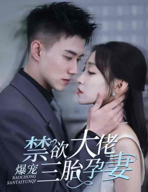 一孕三宝，绝嗣总裁宠疯了（60集全）黄文博-搜外项目网