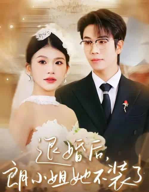 退婚后，朗小姐她不装了（40集全）钟宇飞＆妞妞-搜外项目网