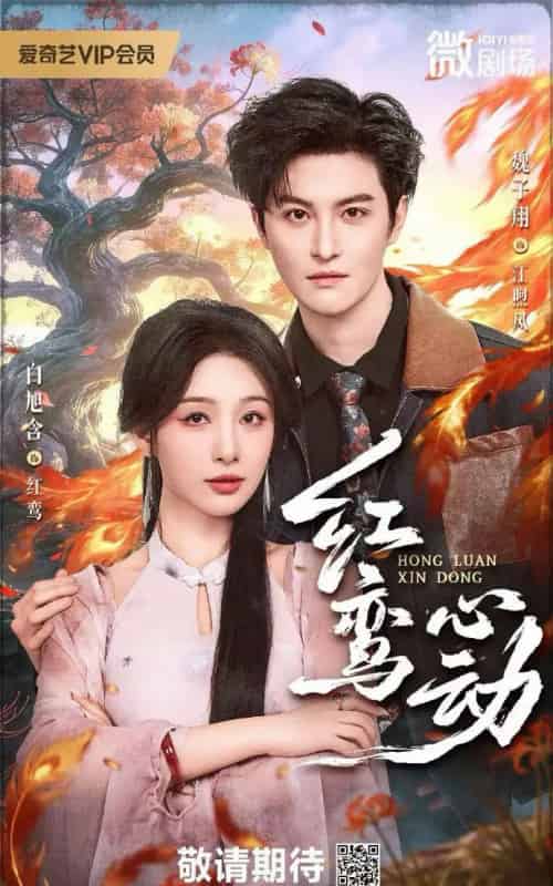 红鸾心动（60集全）白旭含 ＆W魏子翔-搜外项目网