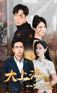 大上海之一生所爱(75集)-搜外项目网