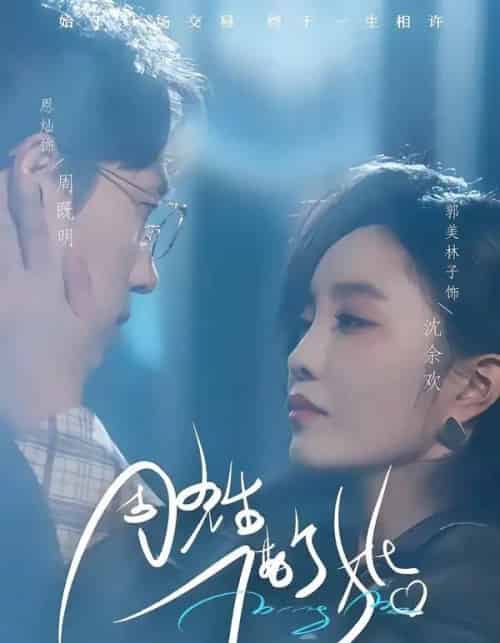 周先生，借个婚（33集全）恩灿＆郭美林子-搜外项目网