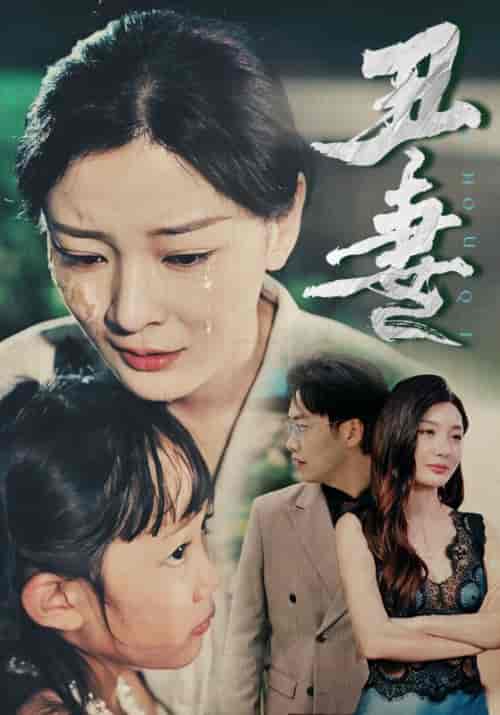 丑妻（66集）林初 陈洁蕾-搜外项目网