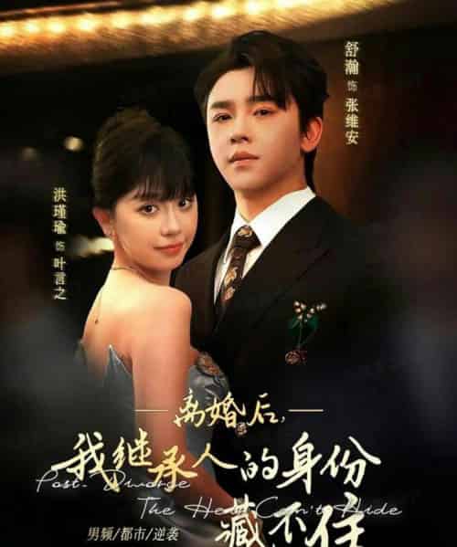 离婚后，我继承人的身份藏不住（80集全）舒瀚＆洪瑾瑜-搜外项目网