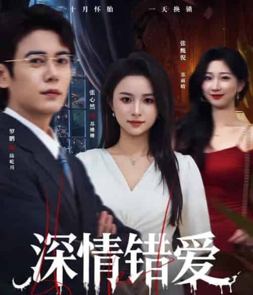 深情错爱＆鸠占鹊巢（45集全）罗鹏＆张心然-搜外项目网