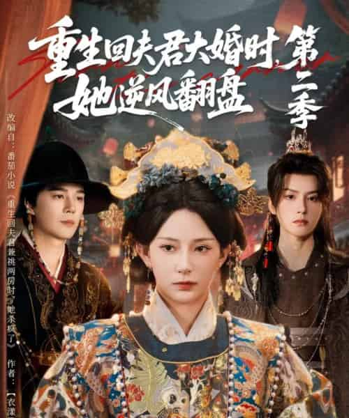重生回夫君大婚时，她逆风翻盘第二季（68集全）杨晨璐＆杨承翰＆陈云廷-搜外项目网
