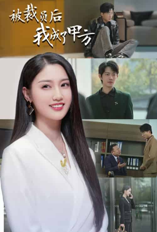 被裁员后我成了甲方(31集全)魏凡舒-搜外项目网