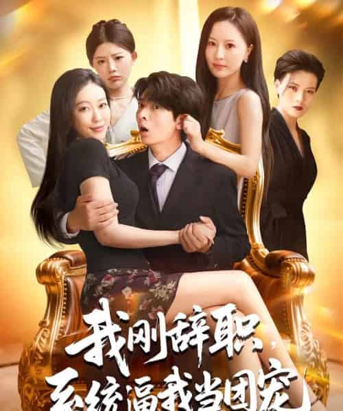 我刚辞职系统逼我当团宠（80集）何子杰＆钟情-搜外项目网