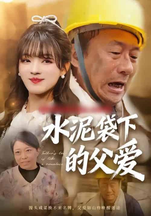 水泥袋下的父爱（60集全）彭洋洋＆吴晨阳-搜外项目网