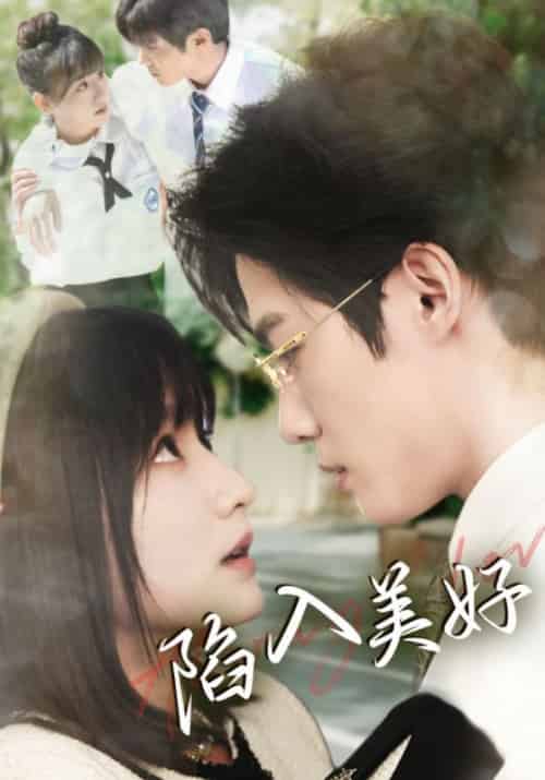 陷入美好（79集全）叶蓝＆黎七爷-搜外项目网