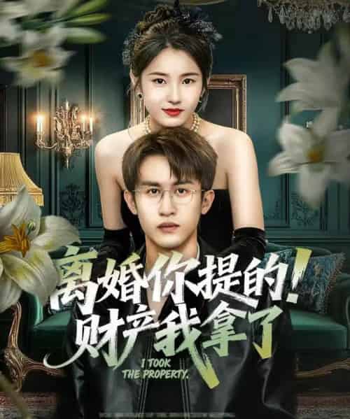 离婚你提的！财产我拿了（63集全）宋暖＆秦露露-搜外项目网