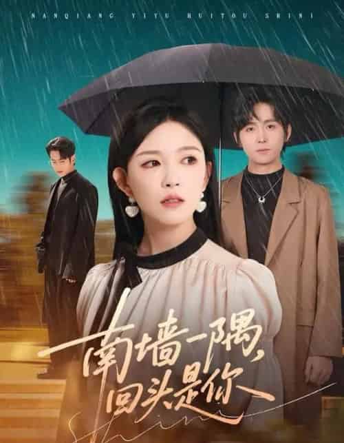 南墙一隅，回头是你（61集全）徐晨皓＆葛晓希-搜外项目网