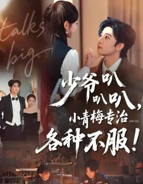 少爷叭叭叭，小青梅专治各种不服（100集全）侯朋岩＆雷馥缦-搜外项目网