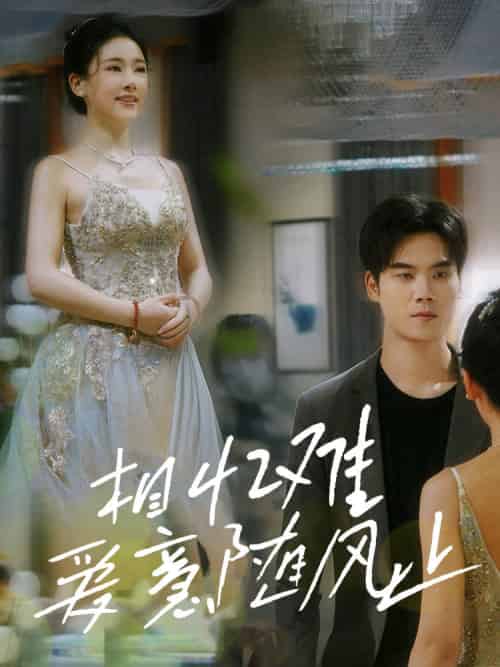 相忆难爱意随风止（34集全）张思琦-搜外项目网