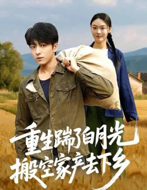 重生踹了白月光搬空家产去下乡(81集全)金大钟&艾江山-搜外项目网