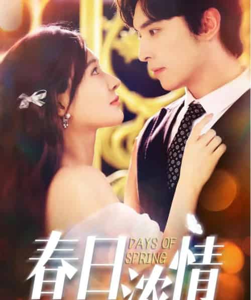 春日浓情(69集全)王博&何适-搜外项目网