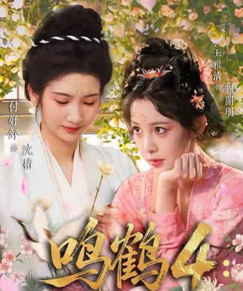 鸣鹤4：遇春山（60集全）付妤舒＆郑明鑫＆王雅清-搜外项目网