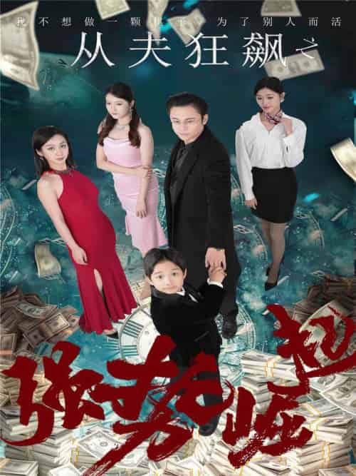 从夫狂飙之强势崛起（41集全）卢晓敏-搜外项目网