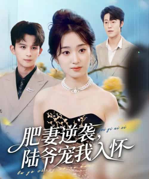 肥妻逆袭,陆爷宠我入怀(62集全)漆培鑫&史小叶-搜外项目网