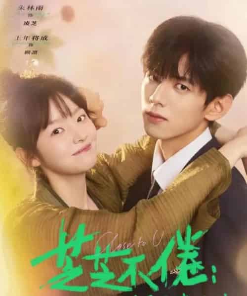 芝芝不倦：灵芝入世，男神非要和我贴贴（70集全）王年将成＆朱林雨-搜外项目网