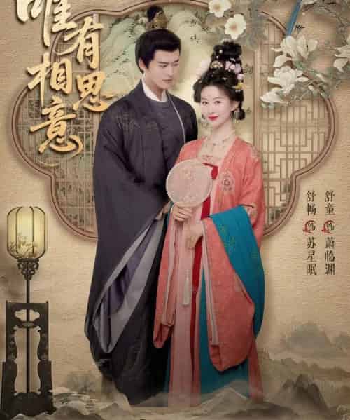 唯有相思意(100集全)舒畅&舒童-搜外项目网