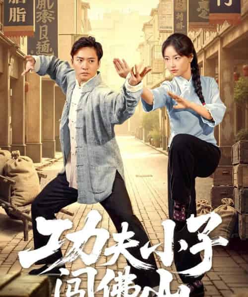 功夫小子闯佛山(52集)黄裕兴&朱新辉-搜外项目网