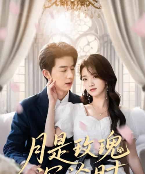 月是玫瑰沉沦时（85集）朱家妮-搜外项目网