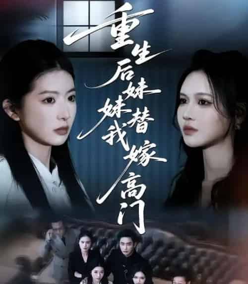 重生后妹妹替我嫁高门（86集全）肖琳＆丁紫嫣＆白浩-搜外项目网
