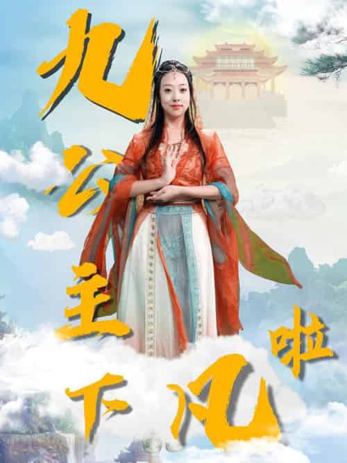 九公主下凡啦（51集全）张若曦-搜外项目网