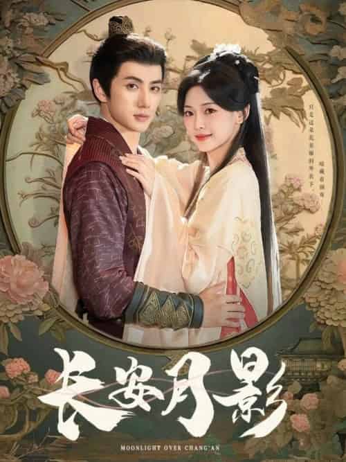 长安月影（60集全）陈政阳＆王子甲-搜外项目网