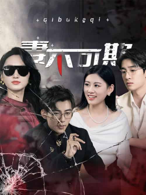 妻不可欺(43集全)杜培源-搜外项目网