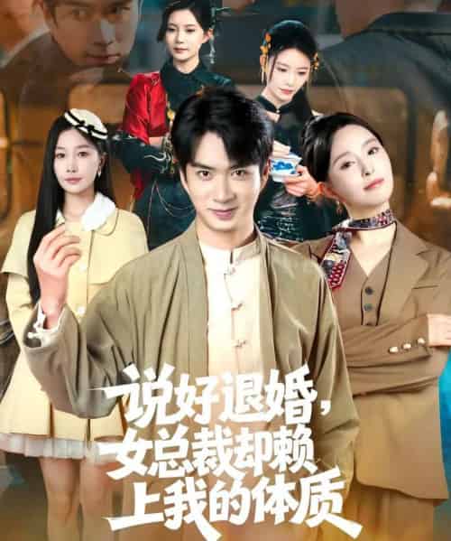 说好退婚，女总裁却赖上我的体质（80集全）朱宏钊＆刘蔓莉-搜外项目网