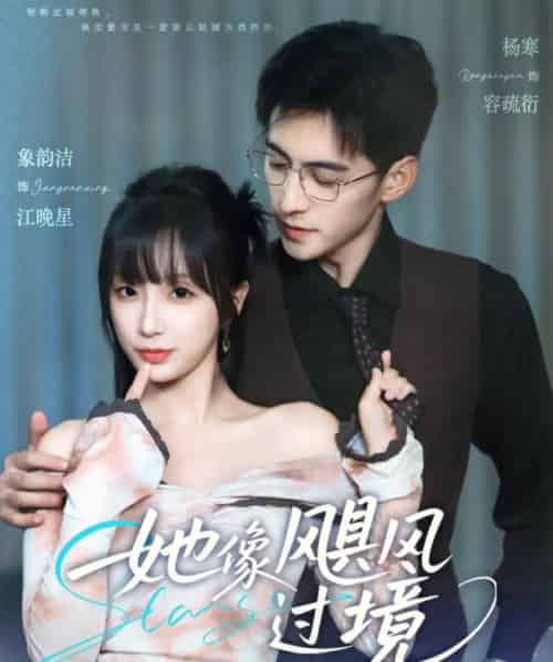 她像飓风过境（81集）象韵洁＆杨寒-搜外项目网