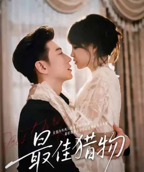 最佳猎物（80集全）于龙＆杨咩咩（情侣档）-搜外项目网