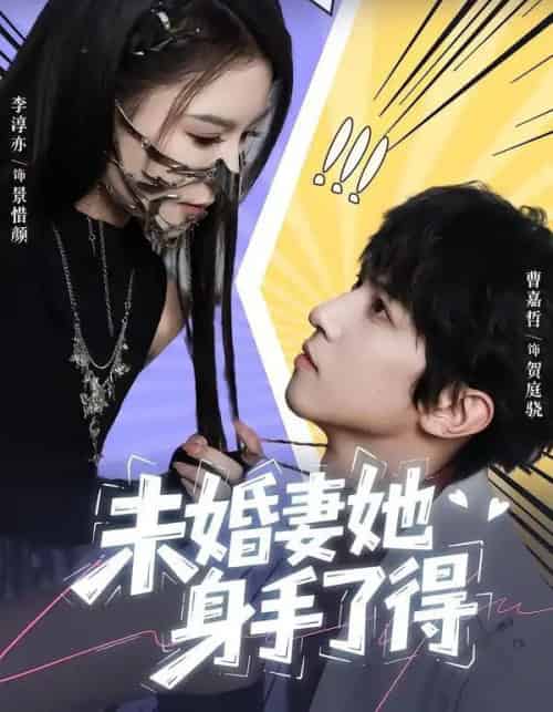 未婚妻她身手了得(50集全)李淳亦&曹嘉哲-搜外项目网